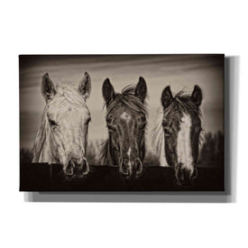 'Three Amigos I' by PH Burchett, Canvas Wall Art