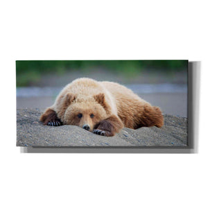 'Bear Life X' by PH Burchett, Canvas Wall Art