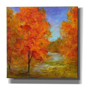 'Burst of Autumn Color' by Sheila Finch, Canvas Wall Art