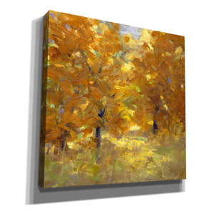 'Cottonwoods' by Sheila Finch, Canvas Wall Art