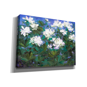'Spring Flowers' by Sheila Finch, Canvas Wall Art