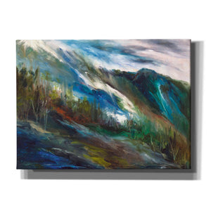 'Sierra Storm' by Sheila Finch, Canvas Wall Art