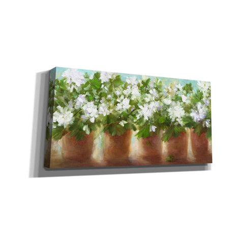 Image of 'In Full Bloom' by Sheila Finch, Canvas Wall Art