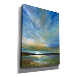 'Updraft' by Sheila Finch, Canvas Wall Art