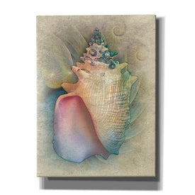 'Aquatica IV' by Steve Hunziker, Canvas Wall Art