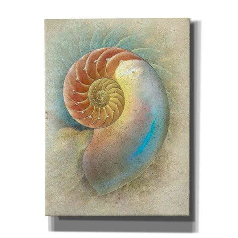 Image of 'Aquatica II' by Steve Hunziker, Canvas Wall Art