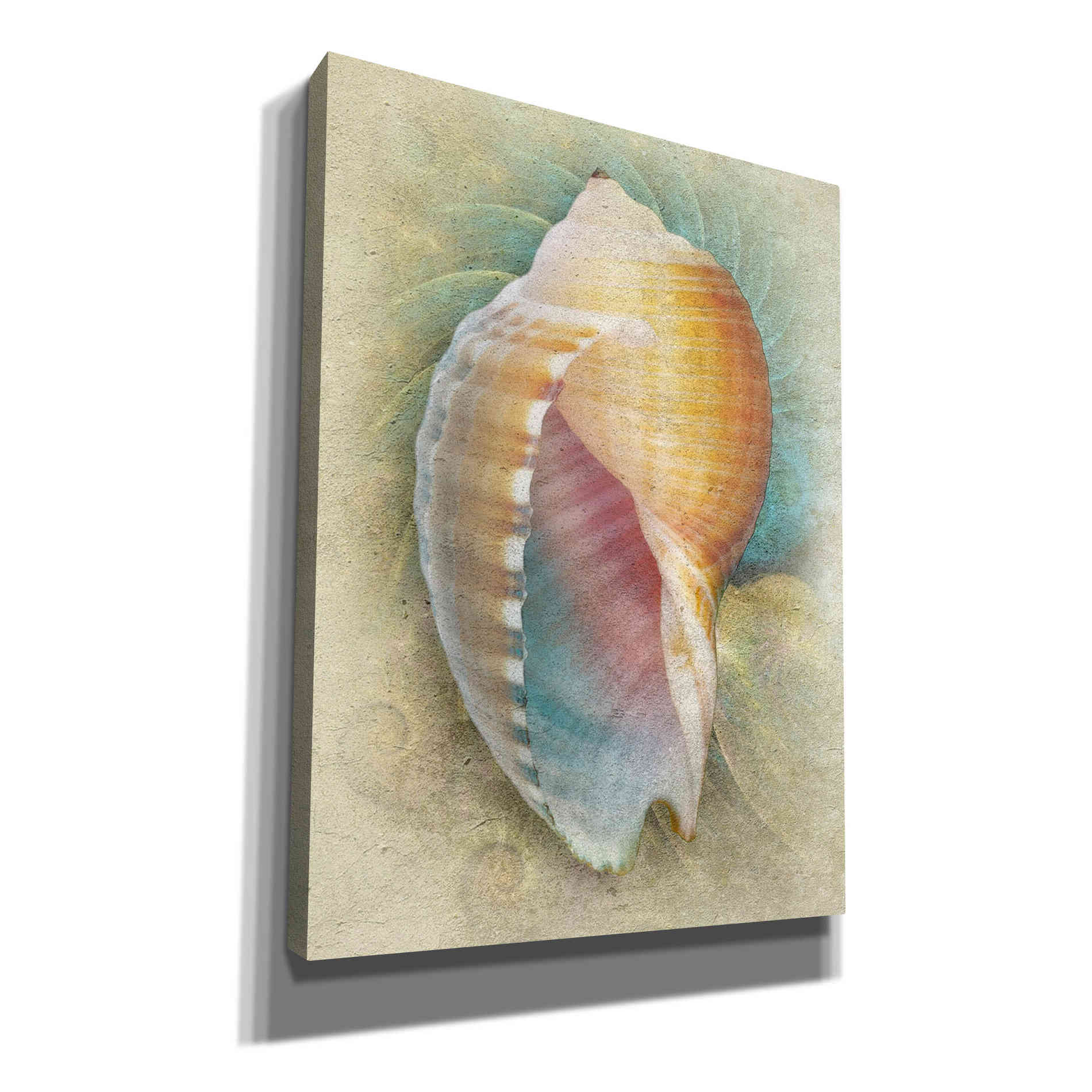 'Aquatica III' by Steve Hunziker, Canvas Wall Art