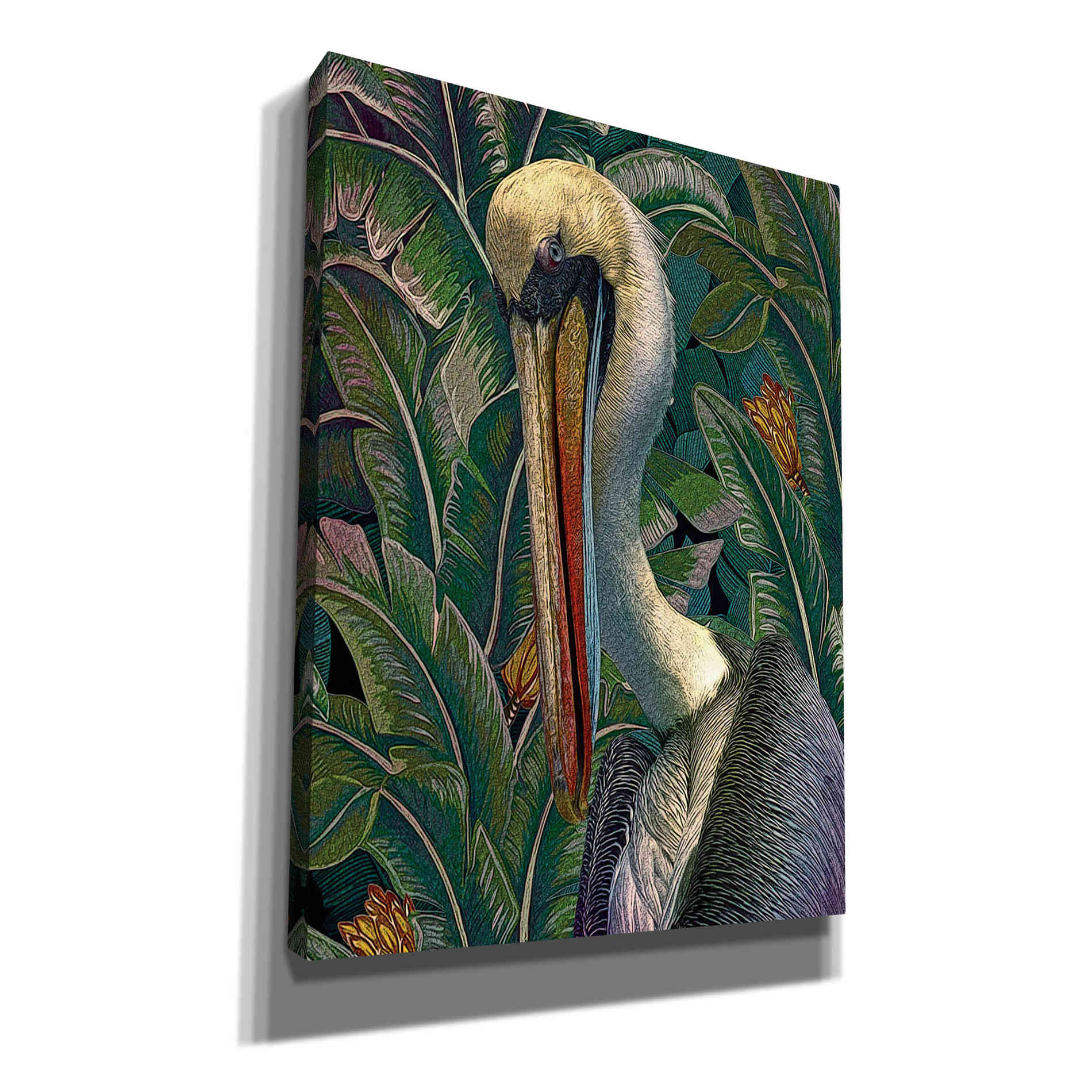 'Primal Pelicana' by Steve Hunziker, Canvas Wall Art
