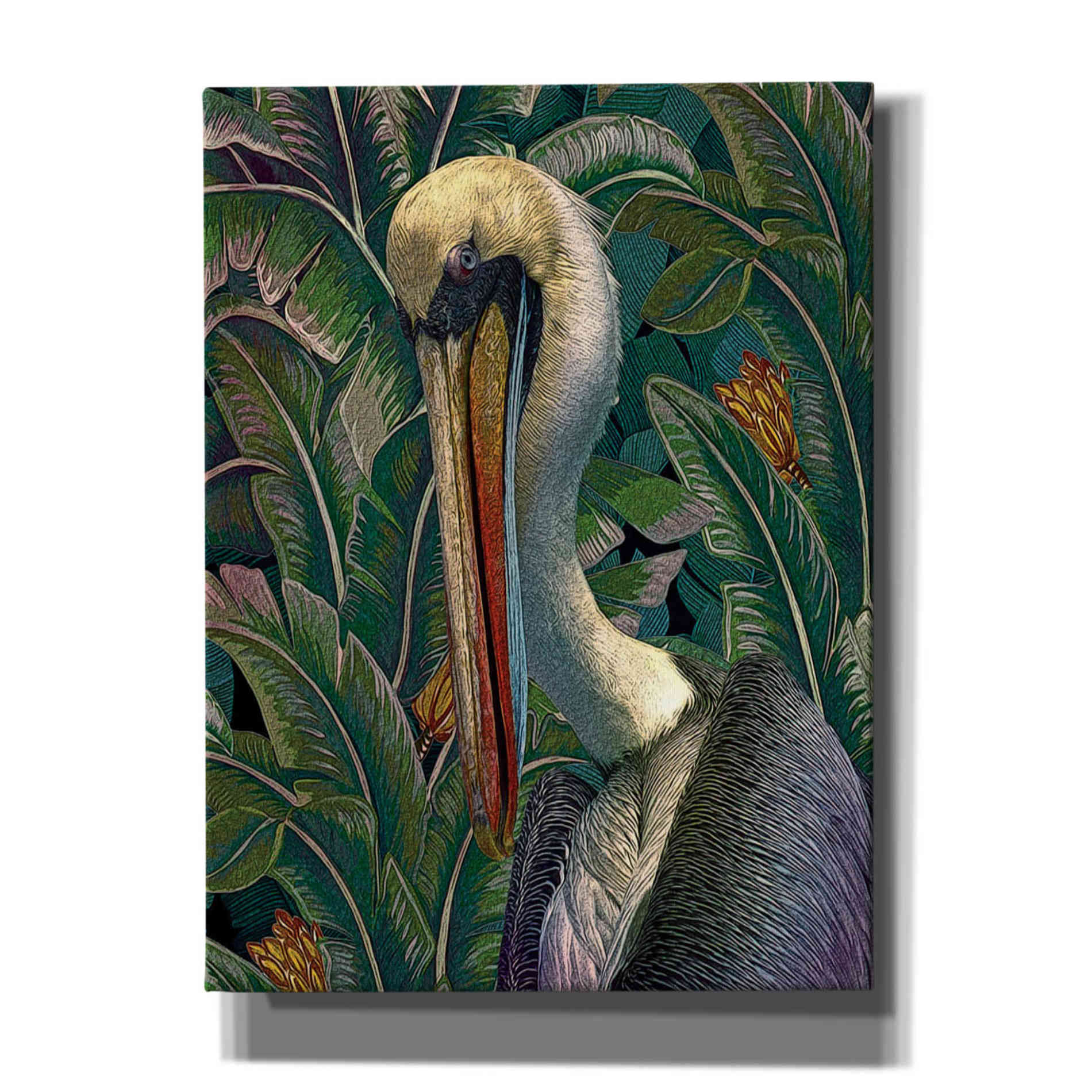 'Primal Pelicana' by Steve Hunziker, Canvas Wall Art