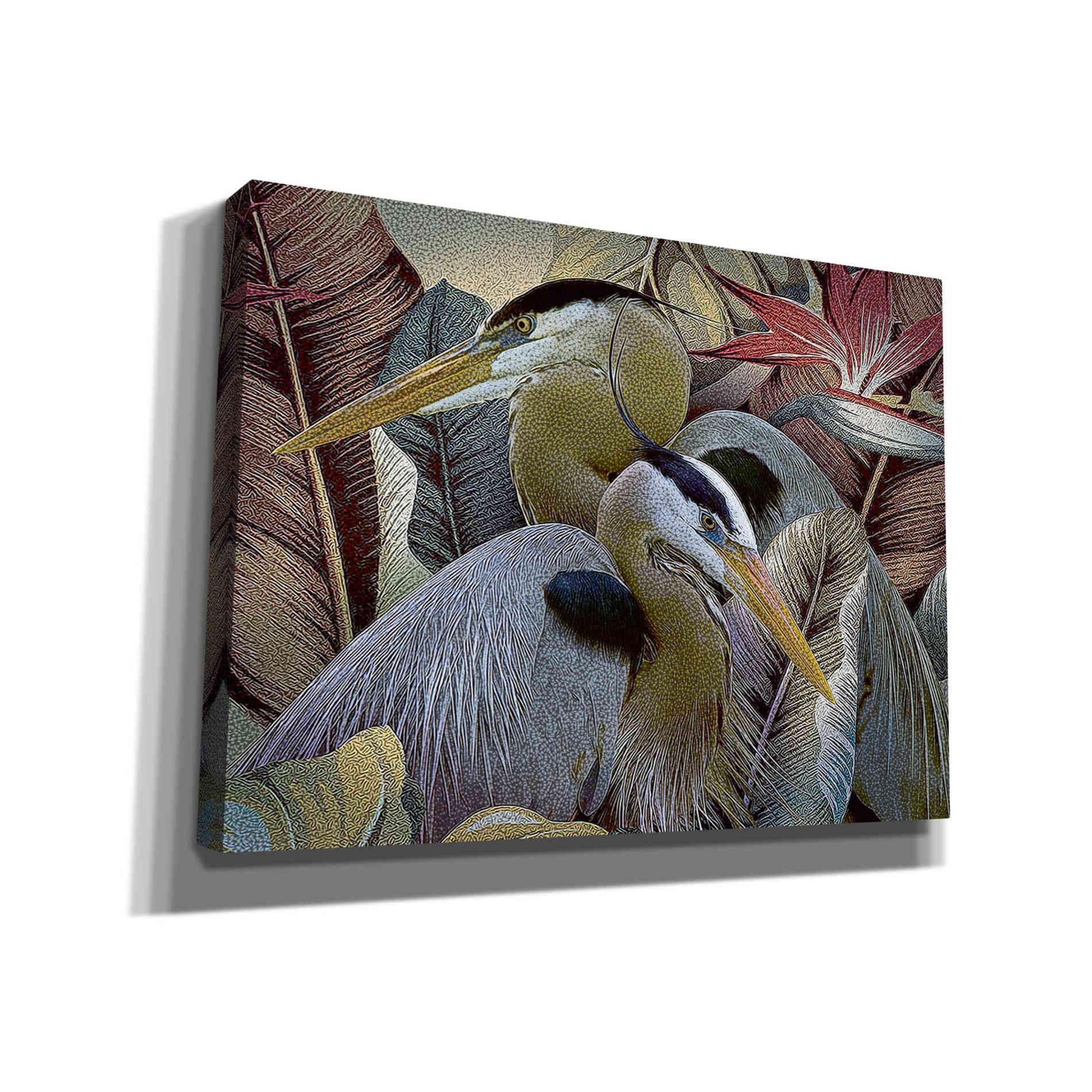 'Two to Tango' by Steve Hunziker, Canvas Wall Art