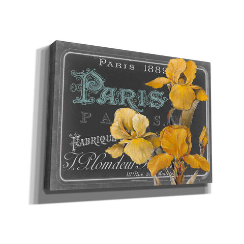 Image of 'Chalkboard Paris Collection A' by Studio W, Canvas Wall Art