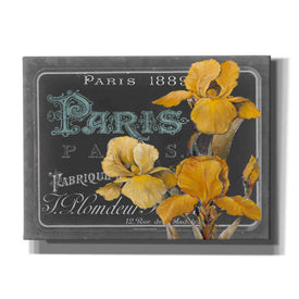'Chalkboard Paris Collection A' by Studio W, Canvas Wall Art