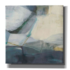 'Tusk IV' by Sue Jachimiec, Canvas Wall Art