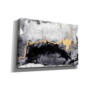 'Gilded Onyx' by Anna Hambly, Canvas Wall Art