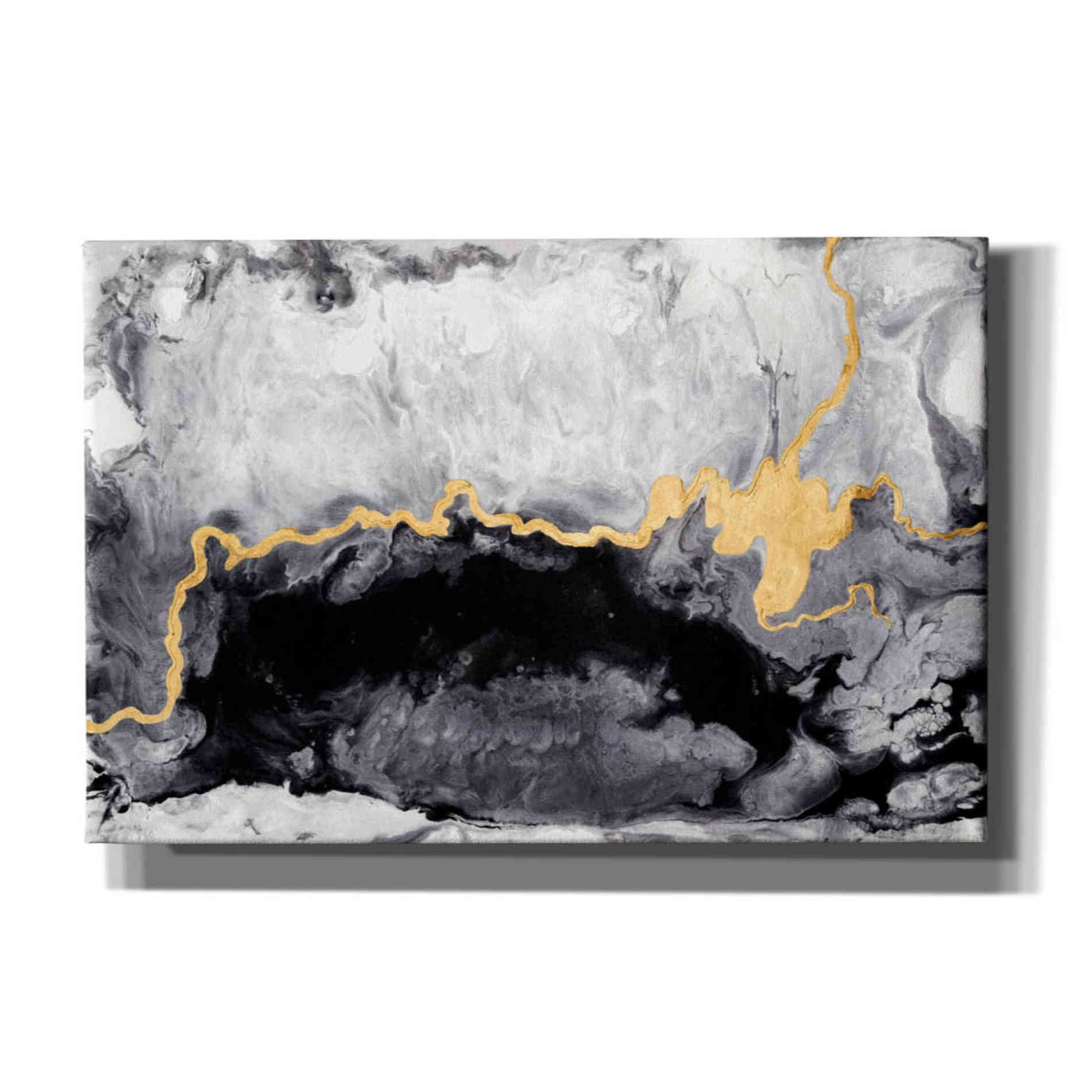 'Gilded Onyx' by Anna Hambly, Canvas Wall Art