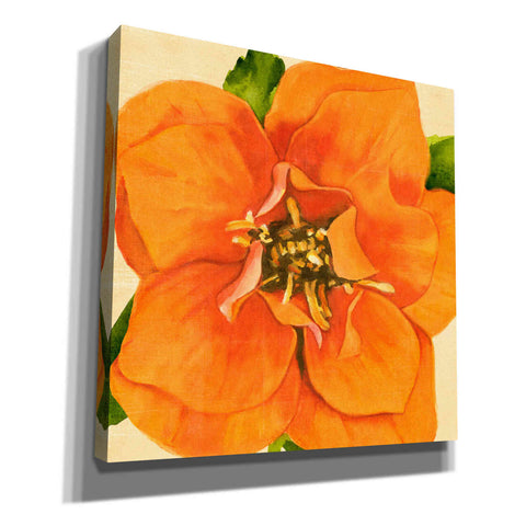 Image of 'Copper Petals I' by Annie Warren, Canvas Wall Art
