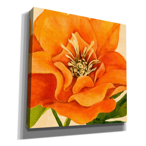 Image of 'Copper Petals II' by Annie Warren, Canvas Wall Art