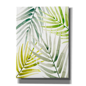 'Shady Palm I' by Annie Warren, Canvas Wall Art