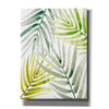 'Shady Palm I' by Annie Warren, Canvas Wall Art