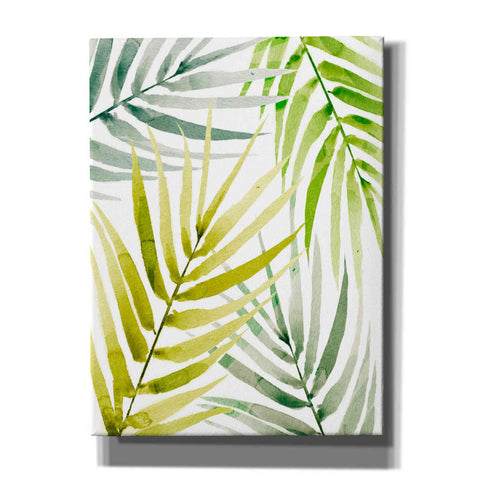 Image of 'Shady Palm II' by Annie Warren, Canvas Wall Art