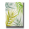 'Shady Palm II' by Annie Warren, Canvas Wall Art