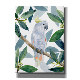 'Cockatoo Perch I' by Annie Warren, Canvas Wall Art