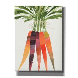 'Vibrant Bunch II' by Annie Warren, Canvas Wall Art