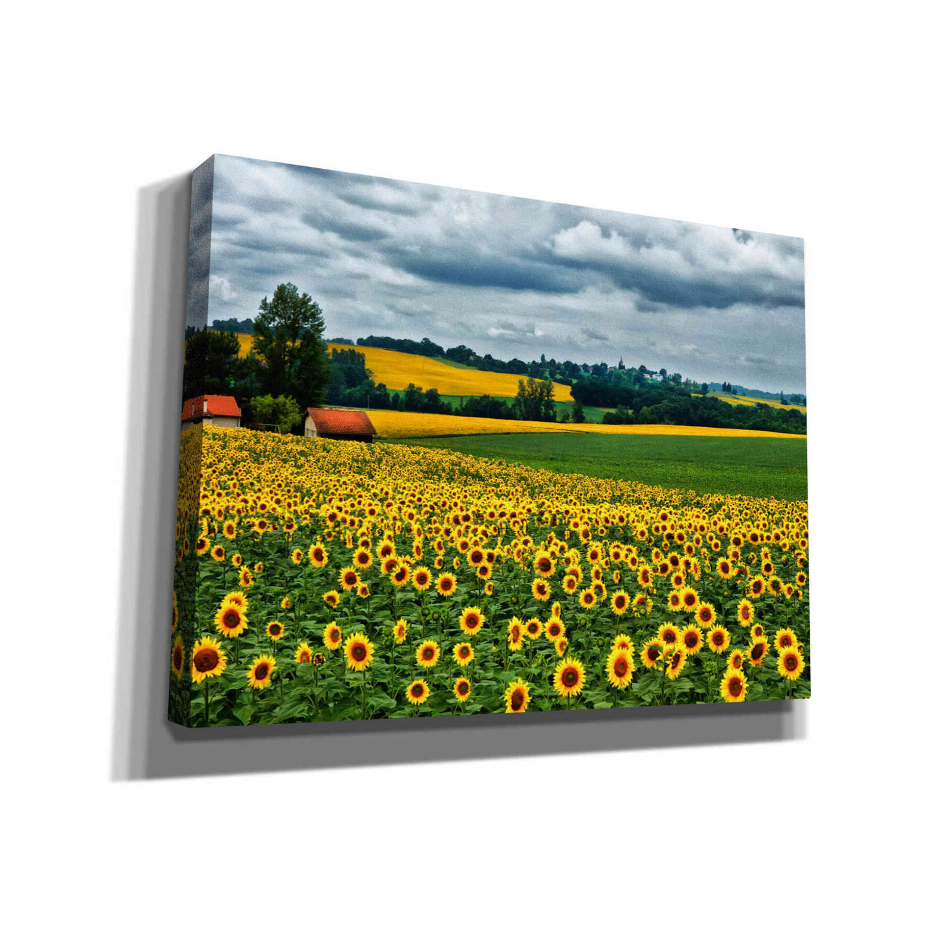 'Pastoral Countryside IV' by Colby Chester, Canvas Wall Art