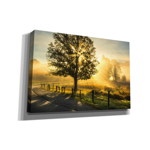 Image of 'Wake Up Call' by Danny Head, Canvas Wall Art
