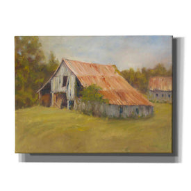 'Tin Roof' by Marilyn Wendling, Canvas Wall Art