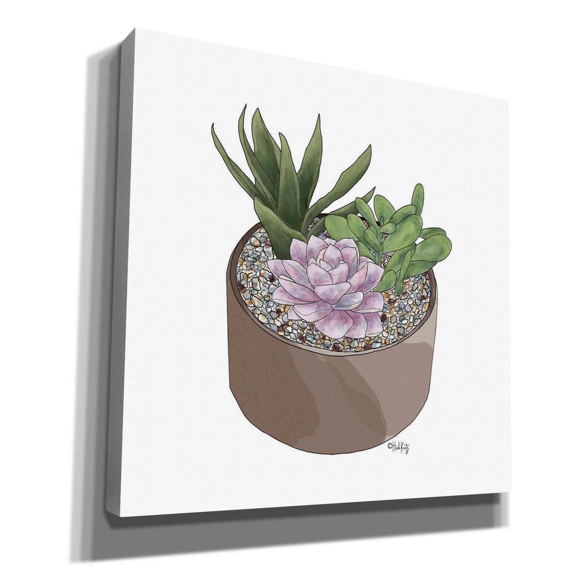 'Succulent Planter I' by Heidi Kuntz, Canvas Wall Art
