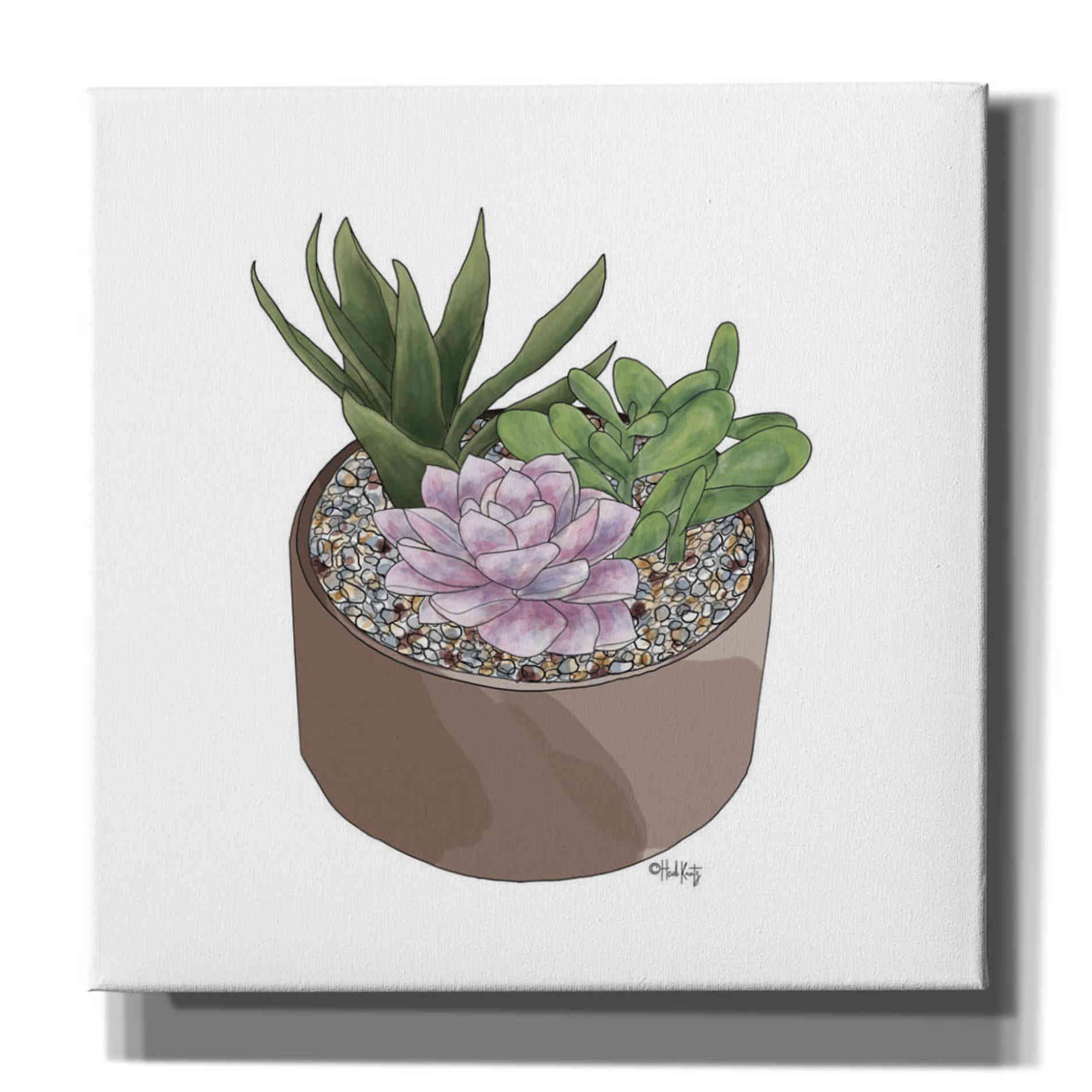 'Succulent Planter I' by Heidi Kuntz, Canvas Wall Art