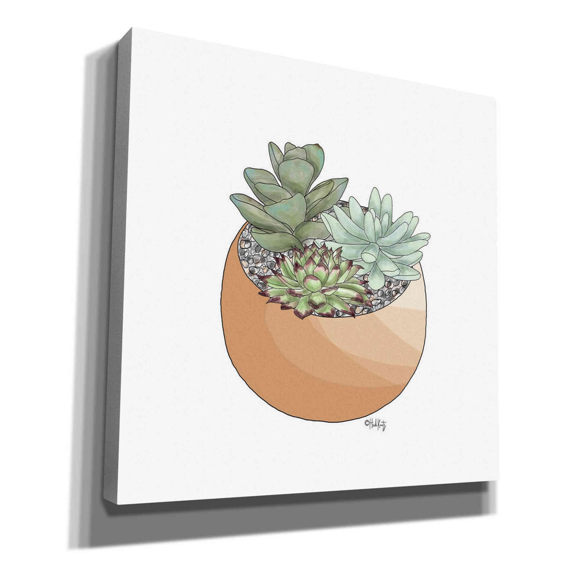 'Succulent Planter II' by Heidi Kuntz, Canvas Wall Art