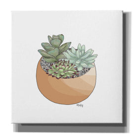 'Succulent Planter II' by Heidi Kuntz, Canvas Wall Art