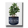 'Blue Potted Fig Tree' by Heidi Kuntz, Canvas Wall Art