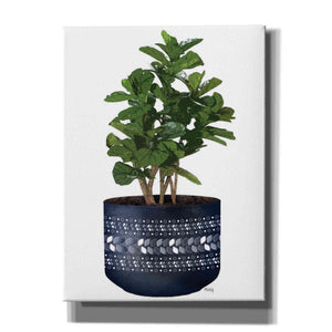 'Blue Potted Fig Tree' by Heidi Kuntz, Canvas Wall Art