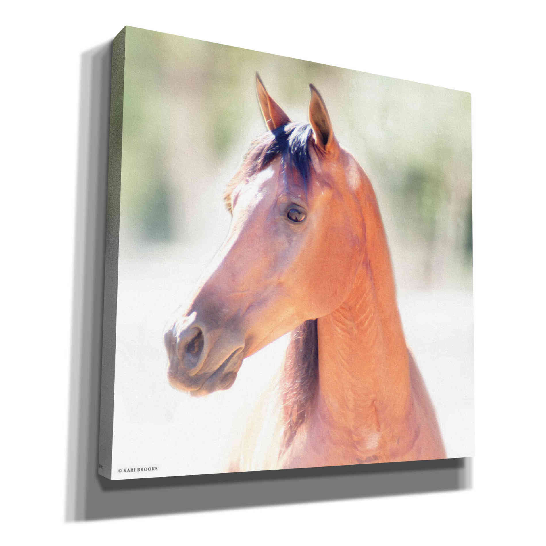 'The Berry' by Kari Brooks, Canvas Wall Art