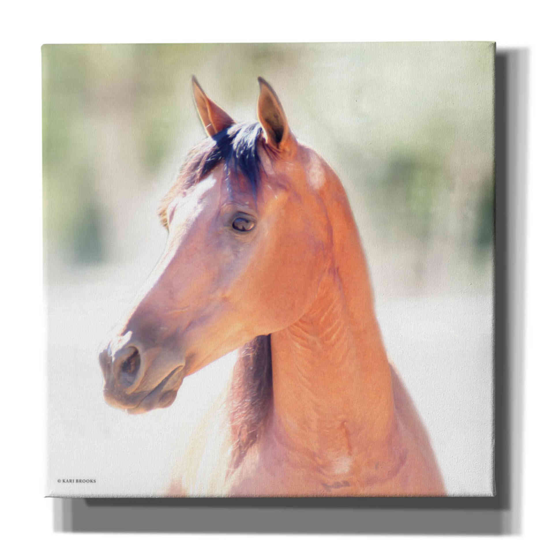 'The Berry' by Kari Brooks, Canvas Wall Art