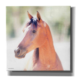 'The Berry' by Kari Brooks, Canvas Wall Art