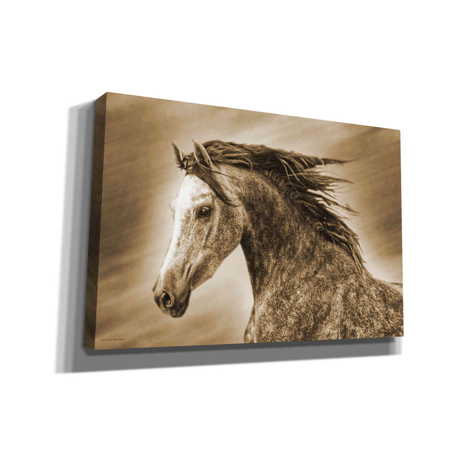 'Addie Gray' by Kari Brooks, Canvas Wall Art
