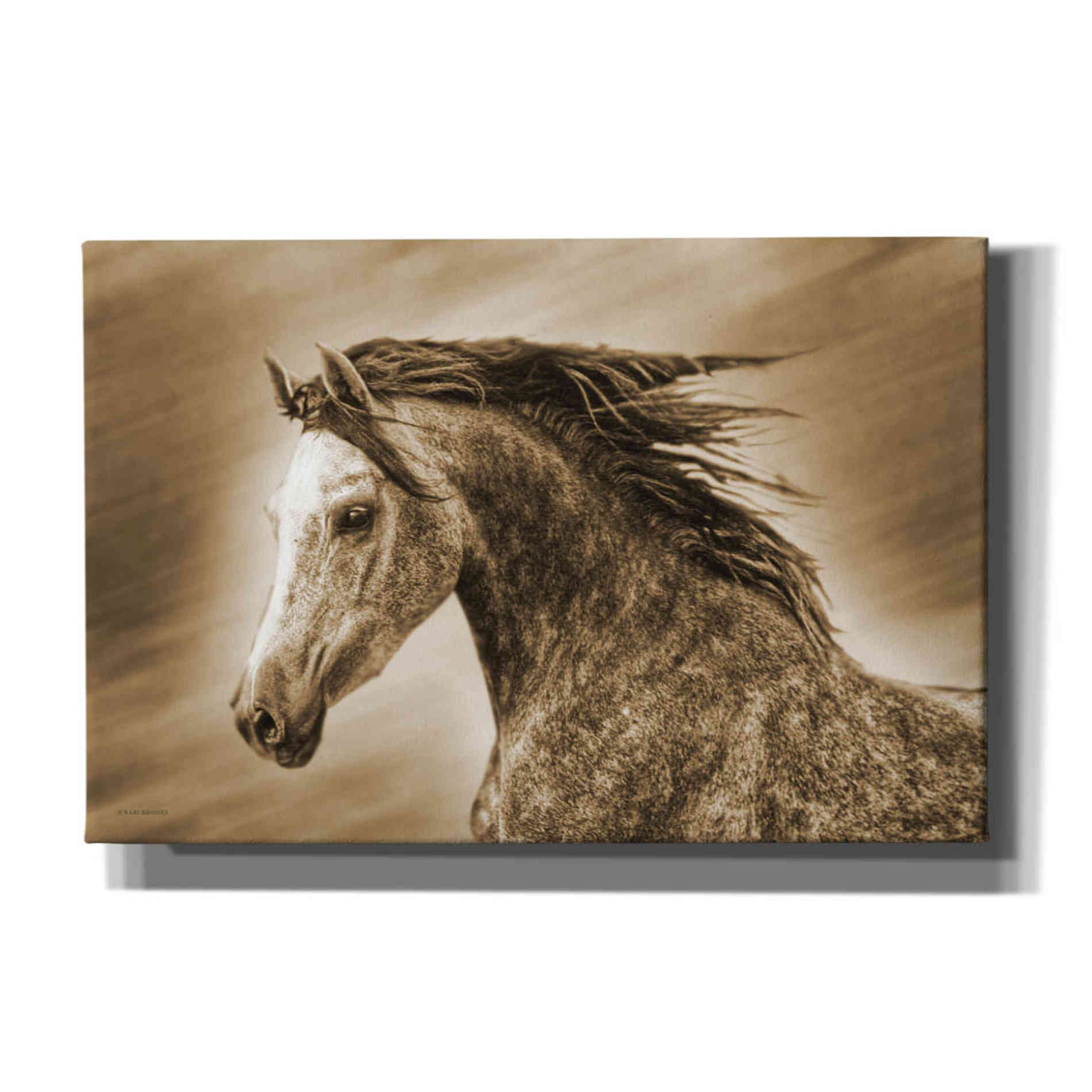 'Addie Gray' by Kari Brooks, Canvas Wall Art