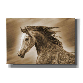 'Addie Gray' by Kari Brooks, Canvas Wall Art