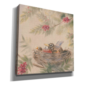 'Fledglings' by Pam Britton, Canvas Wall Art