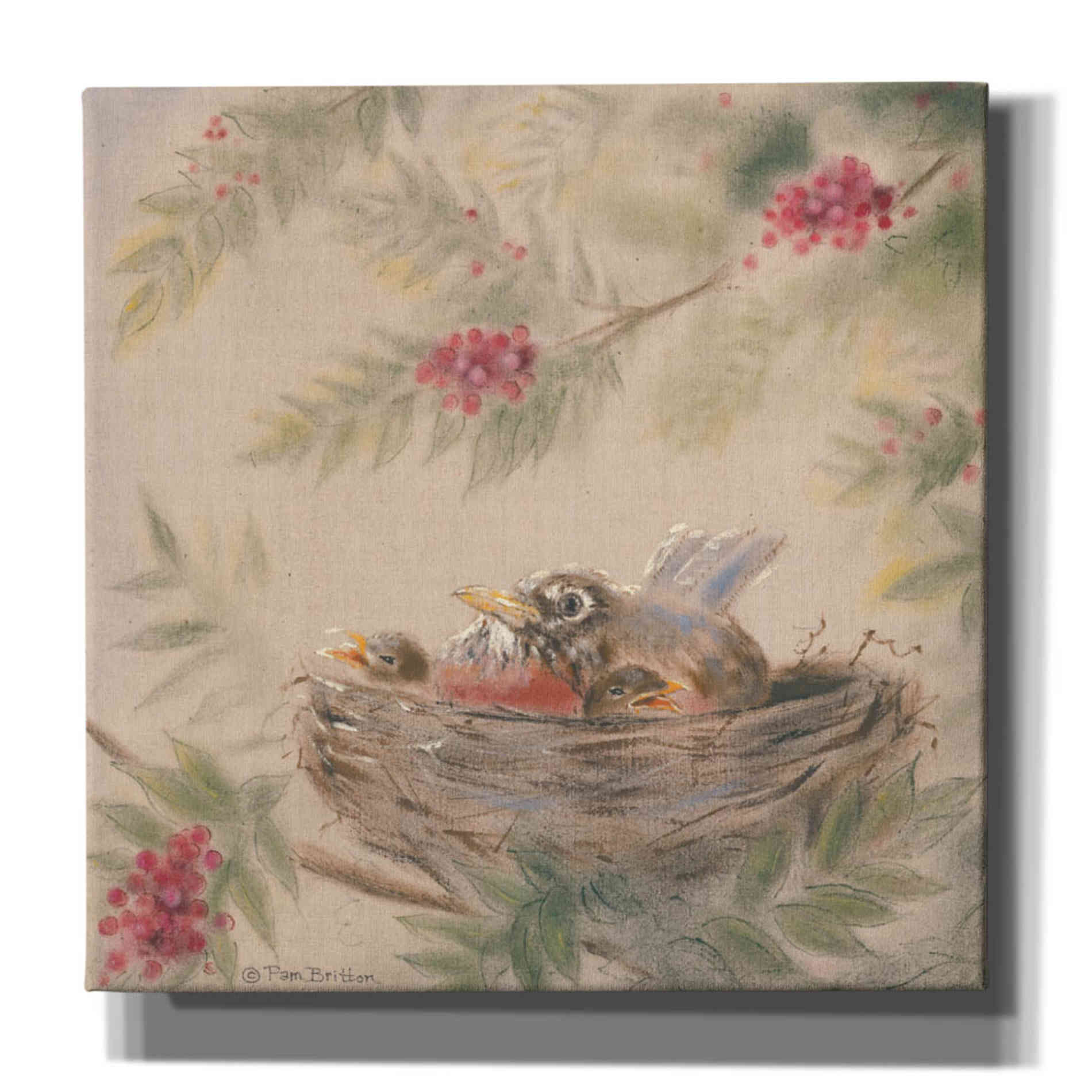 'Fledglings' by Pam Britton, Canvas Wall Art