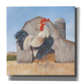 'Country Rooster' by Pam Britton, Canvas Wall Art
