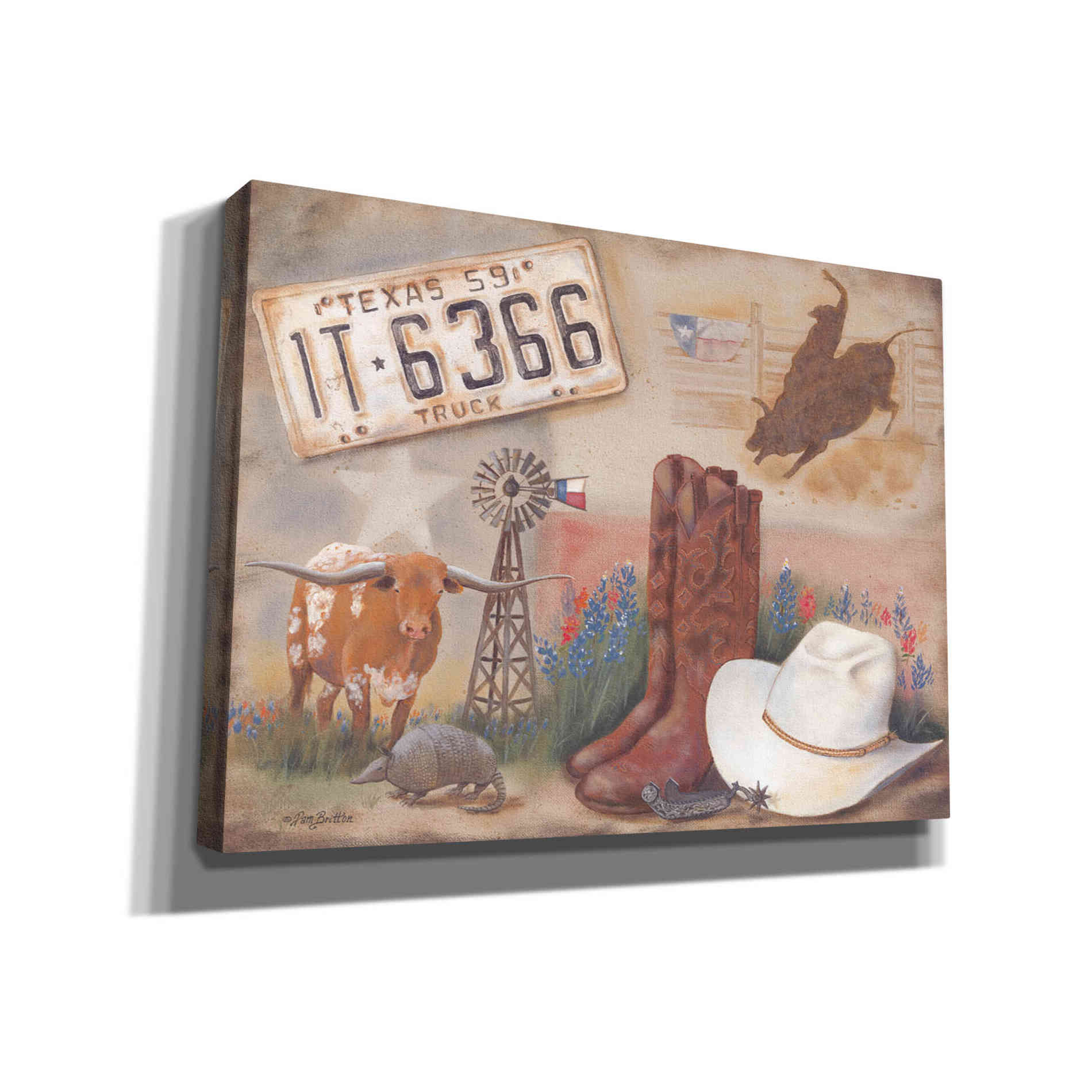 'Texas' by Pam Britton, Canvas Wall Art