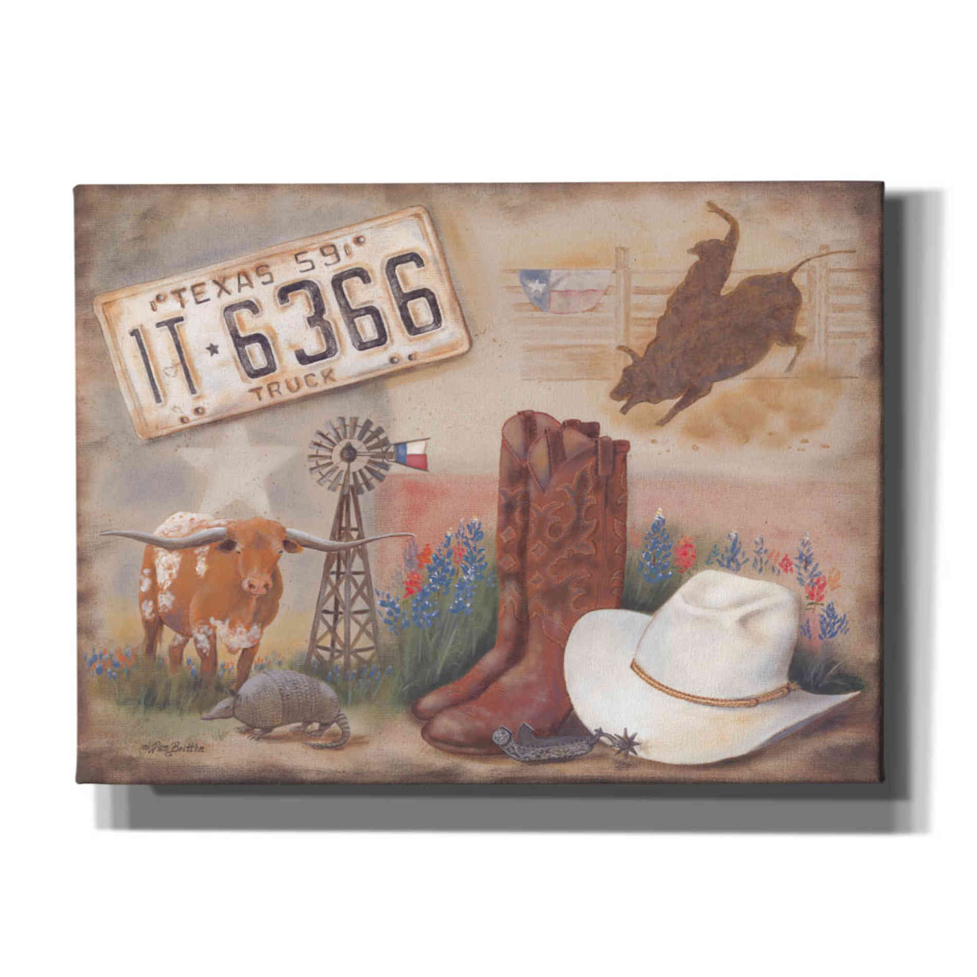 'Texas' by Pam Britton, Canvas Wall Art