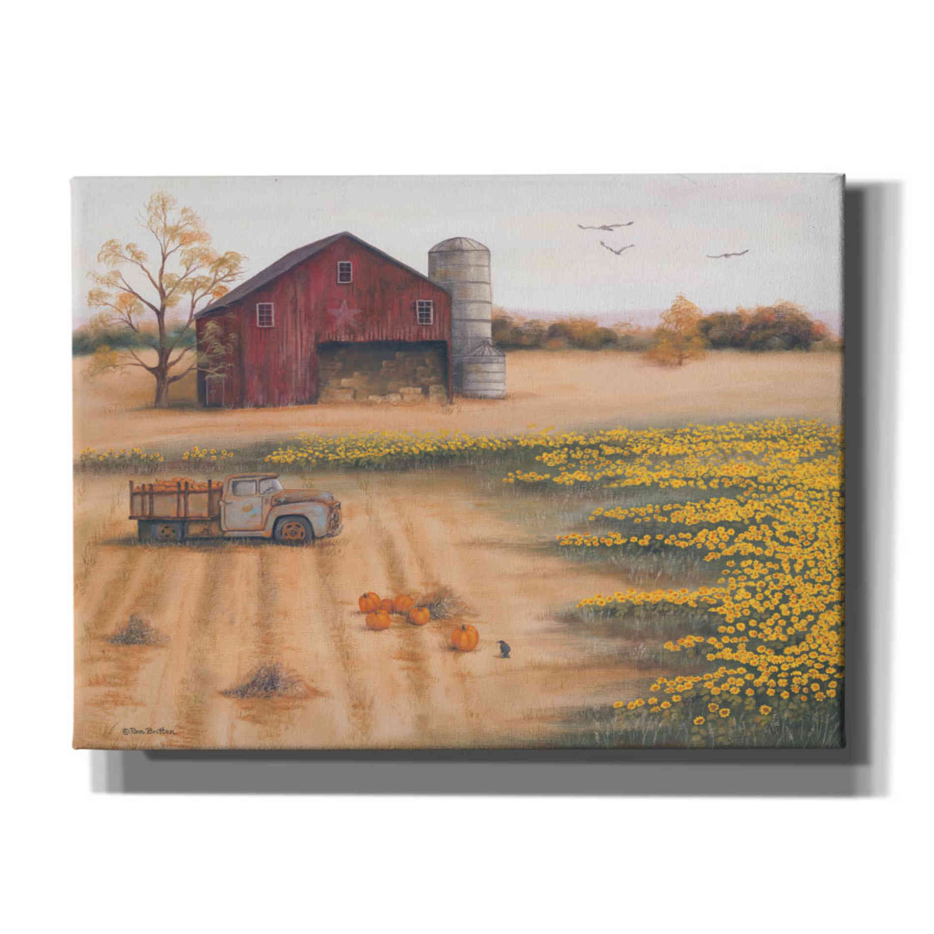 'Barn & Sunflowers II' by Pam Britton, Canvas Wall Art