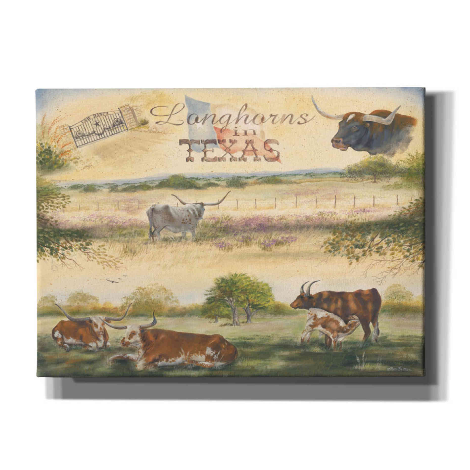 'Texas Collision V' by Pam Britton, Canvas Wall Art