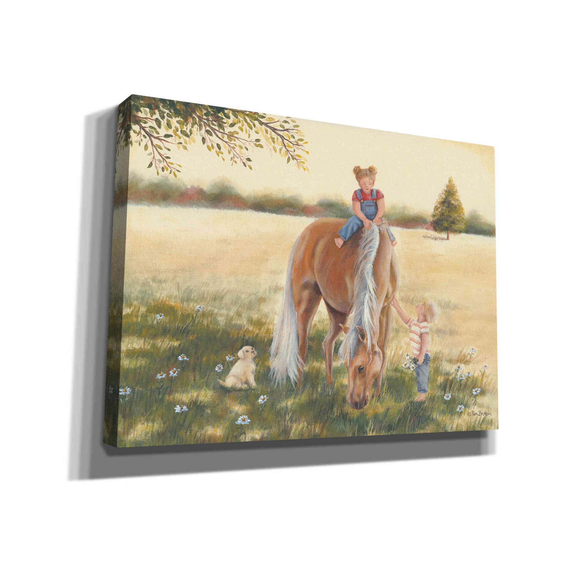 'Good Friends I' by Pam Britton, Canvas Wall Art